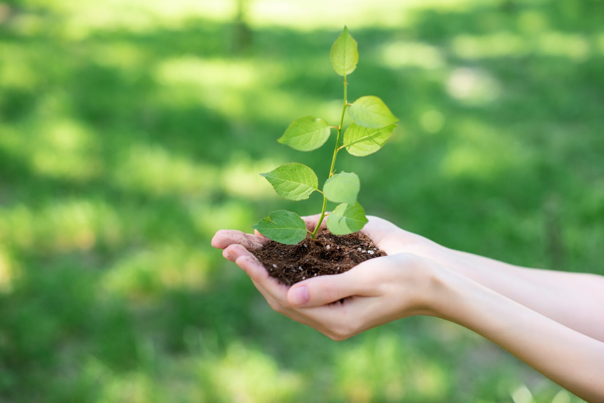 Community Benefits of Volunteer Mentorship Programs