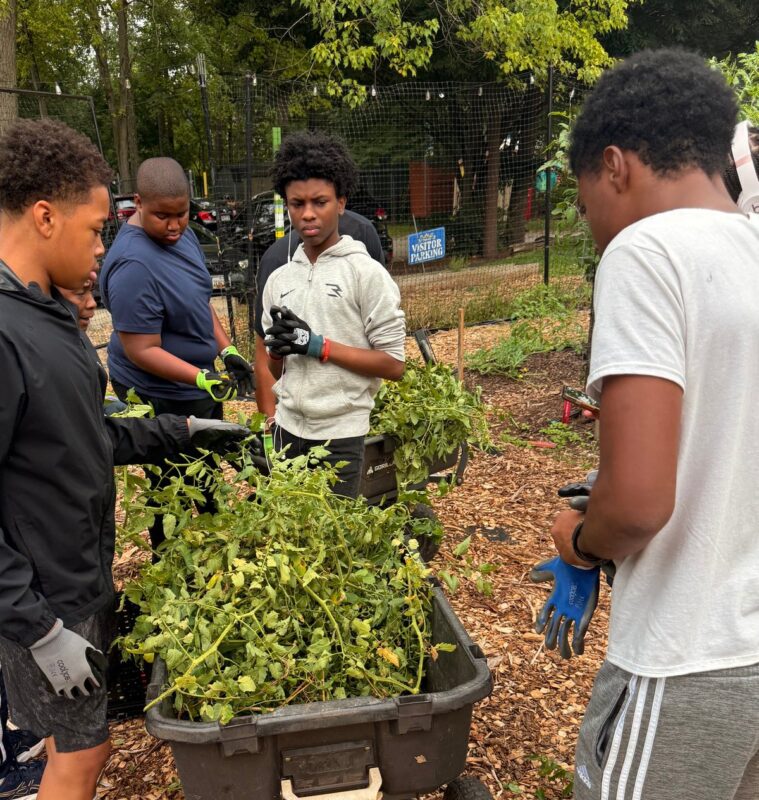 OhanaHC students in garden gloves working together around a planter of seedlings in a community garden.